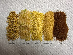 gluten free grains