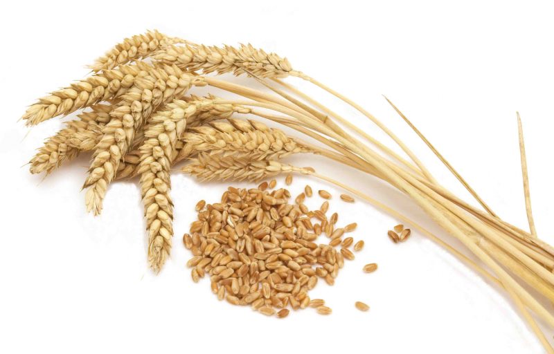 Bread, Gluten and some healthy bread options